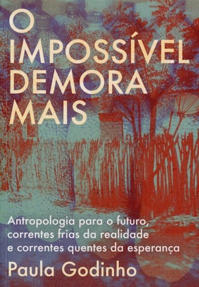 Capa de O impossível demora mais: antropologia para o futuro, correntes frias da realidade e correntes quentes da esperança