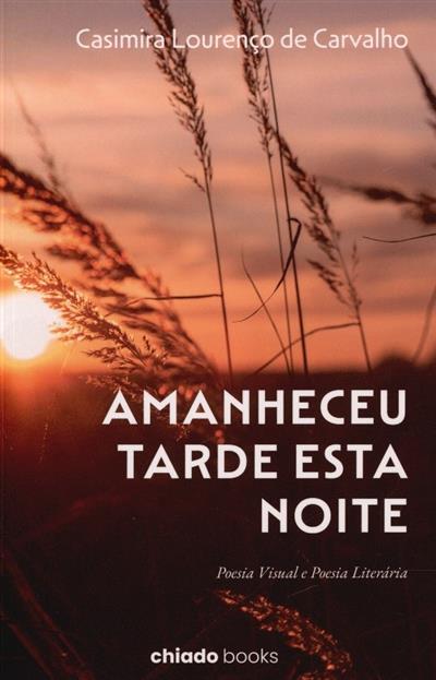 Capa de Amanheceu tarde esta noite: poesia visual e poesia literária