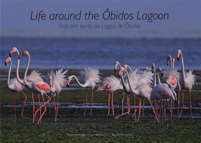 Capa de Vida em torno da Lagoa de Óbidos