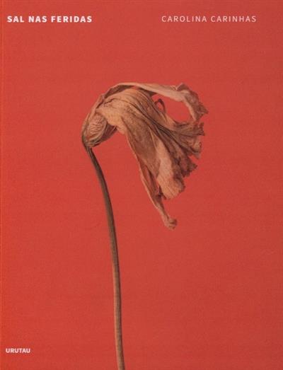 Capa de Sal nas feridas
