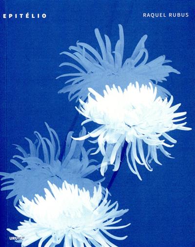 Capa de Epitélio